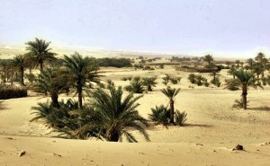 Пустыни Мавритании
