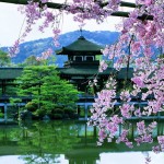 Красивая Япония