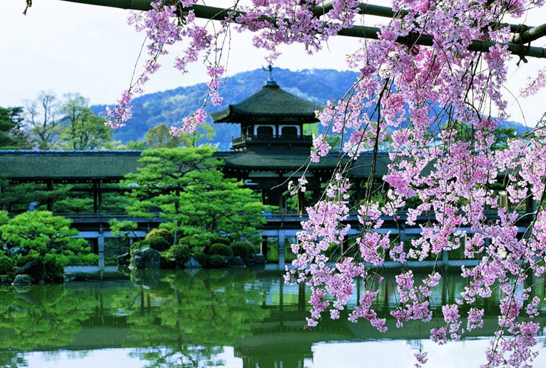 Красивая Япония