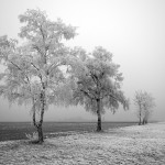 winter_germany