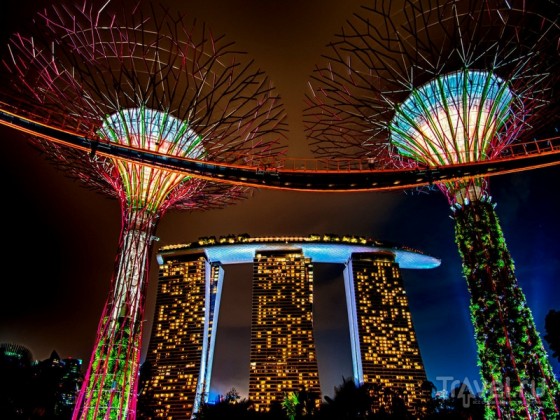 supertrees_singapore_2